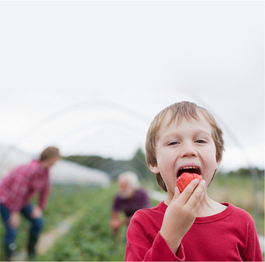 What makes a healthy diet?