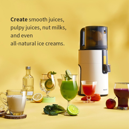 [Pre-Order] Hurom H400 Easy Series - Ship By 28 May